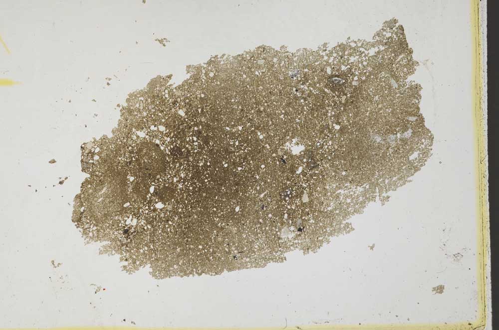 Plane Polarized, S33569