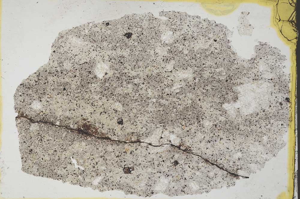 Plane Polarized, S33571