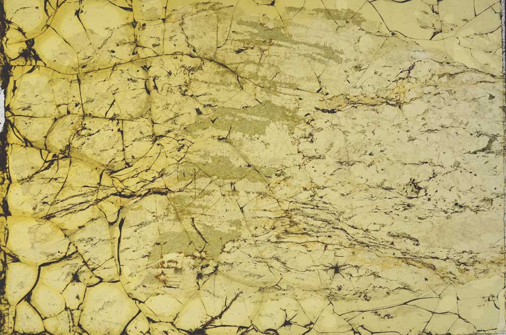 Plane Polarized, S33631