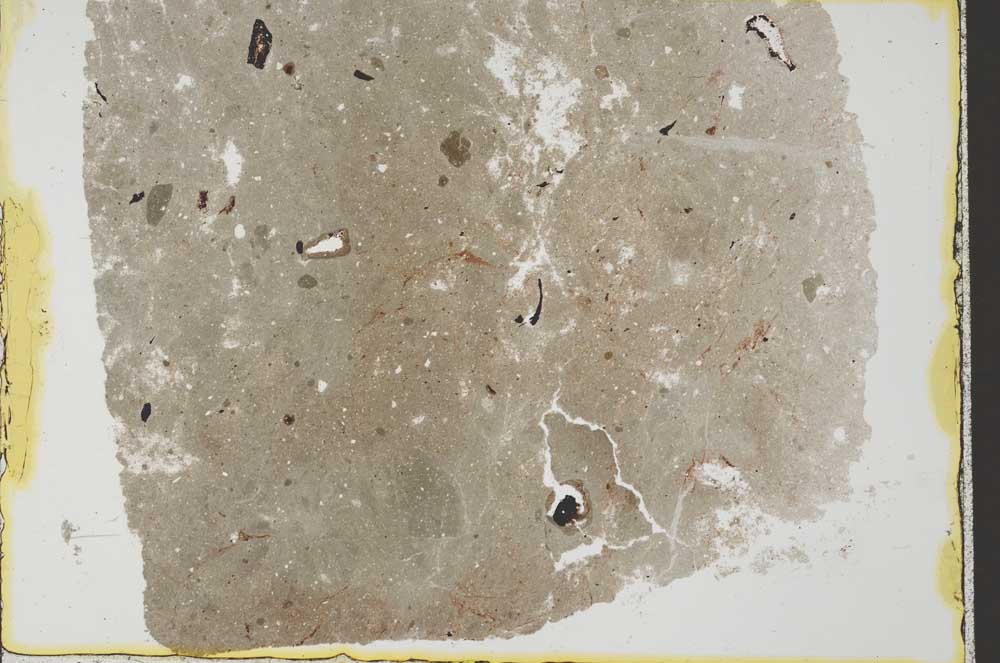 Plane Polarized, S33634