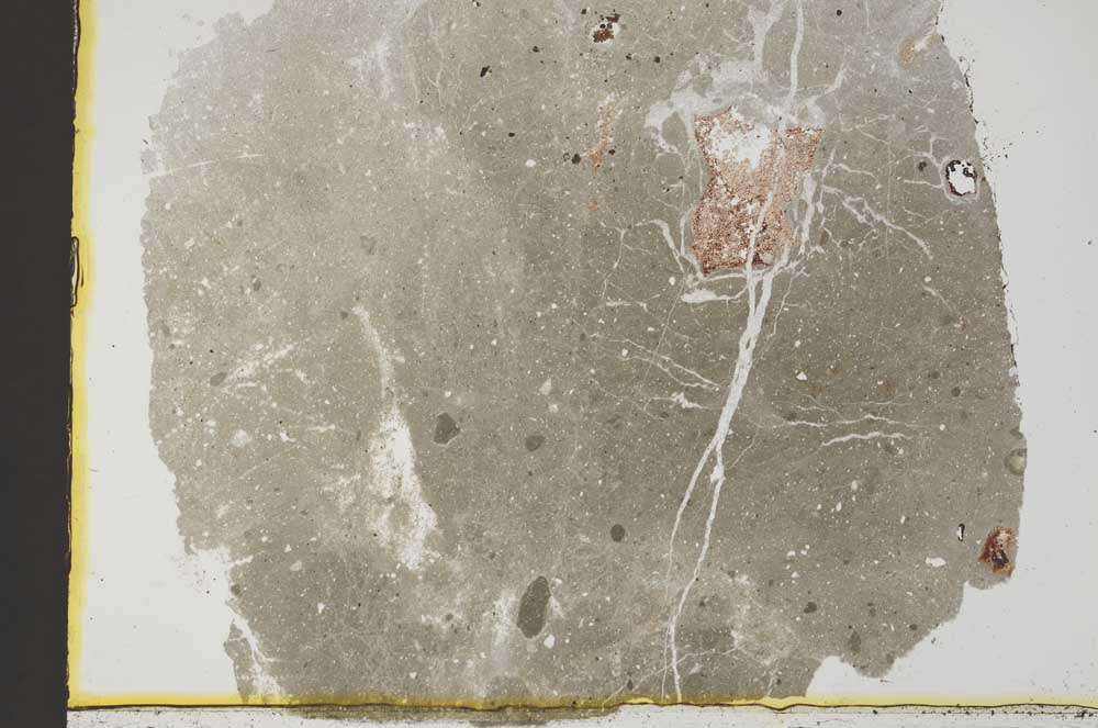 Plane Polarized, S33636