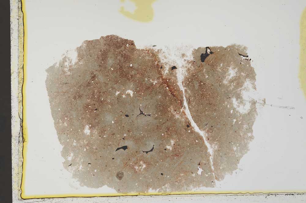 Plane Polarized, S33637