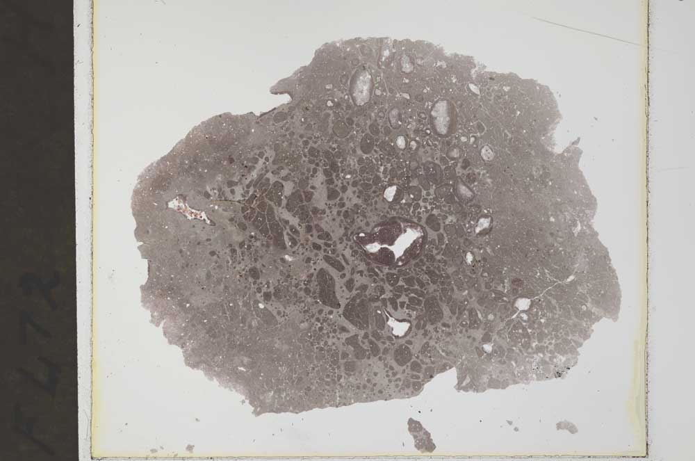 Plane Polarized, S33638/B