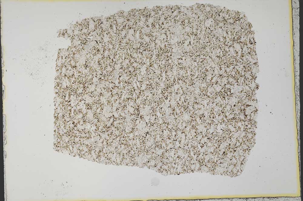 Plane Polarized, S33651