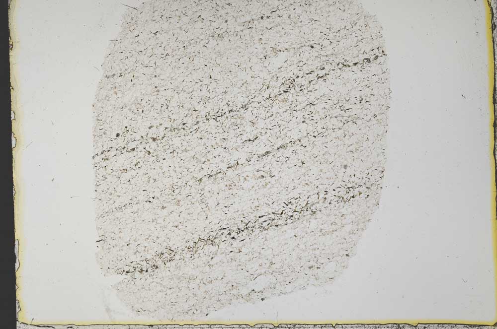 Plane Polarized, S33653