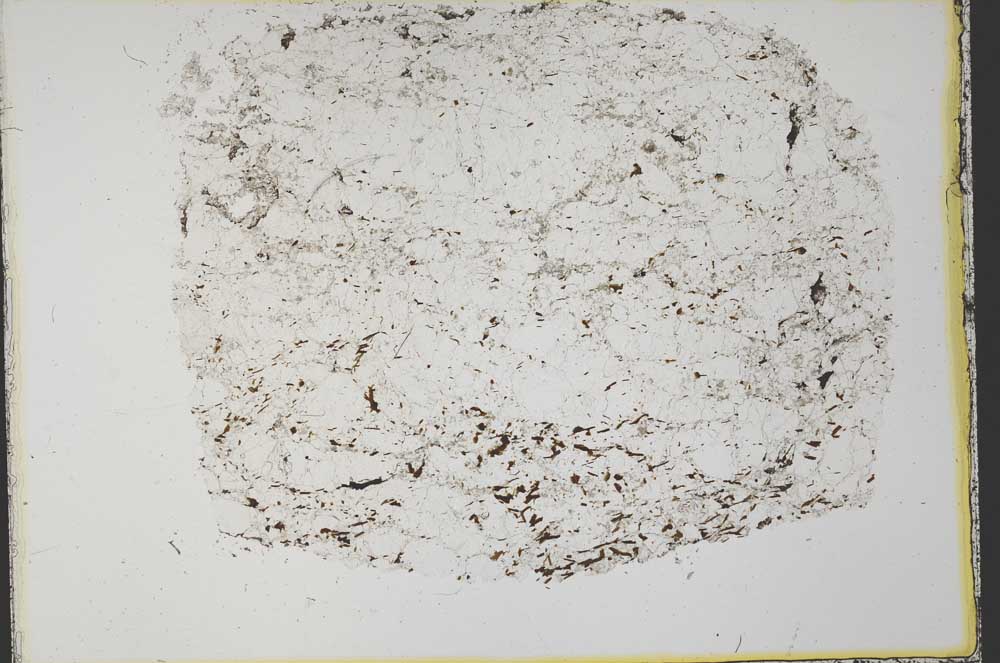 Plane Polarized, S33654