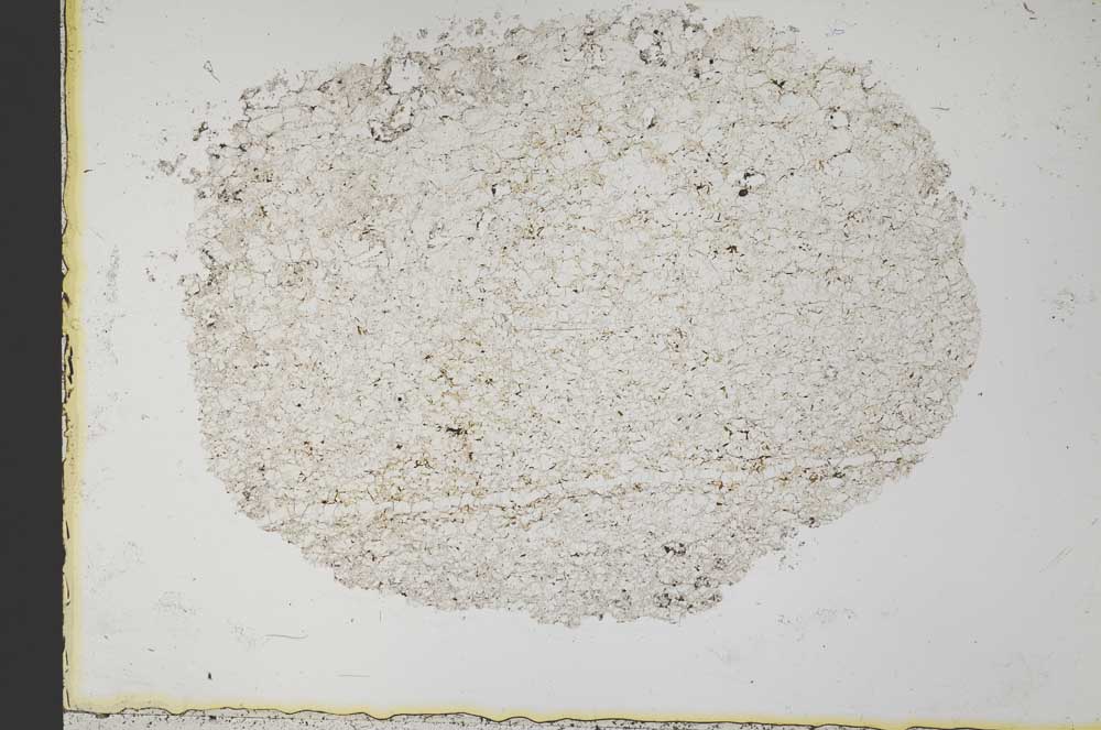 Plane Polarized, S33657