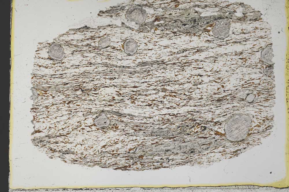 Plane Polarized, S33659