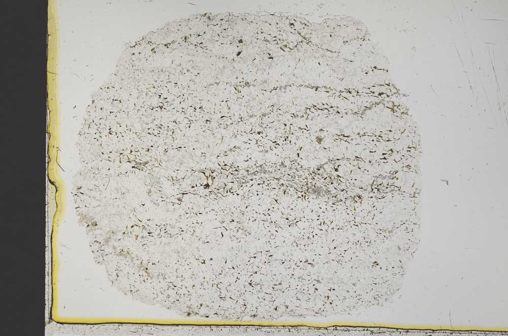 Plane Polarized, S33660