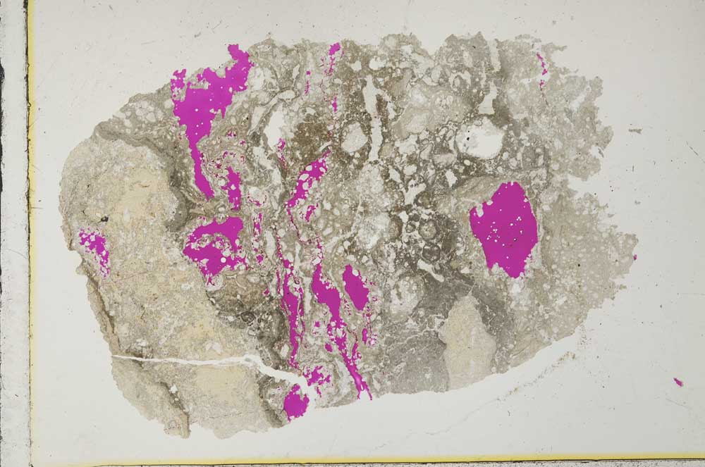 Plane Polarized, S33689