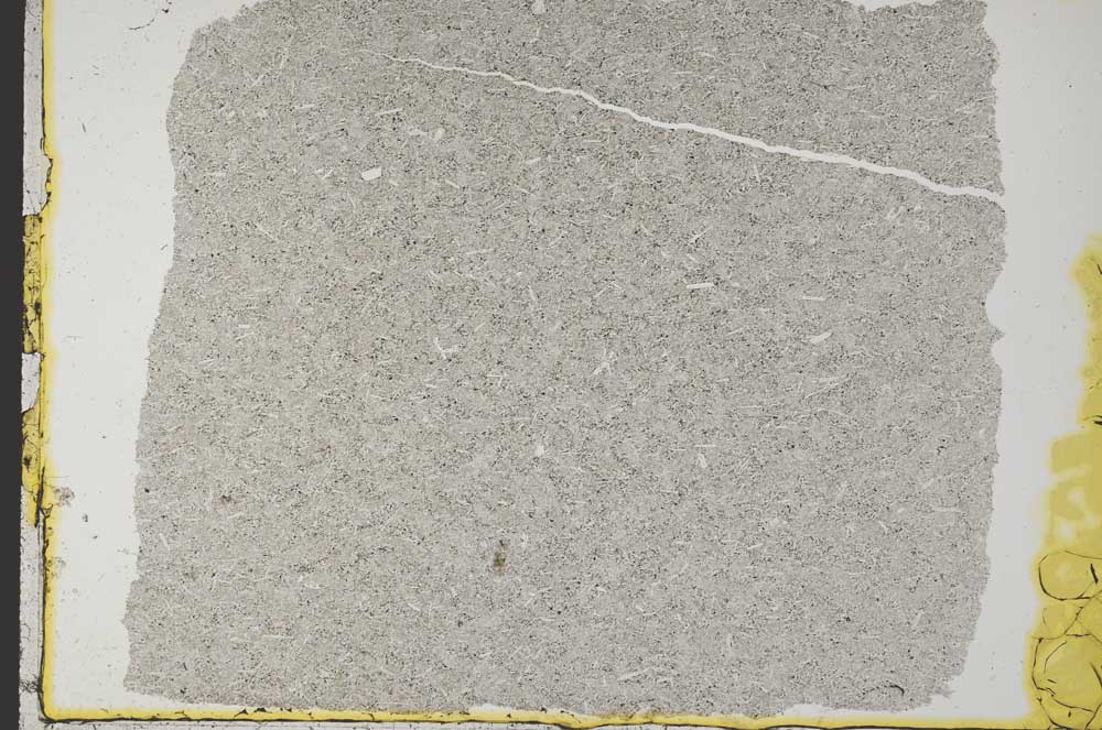 Plane Polarized, S33721