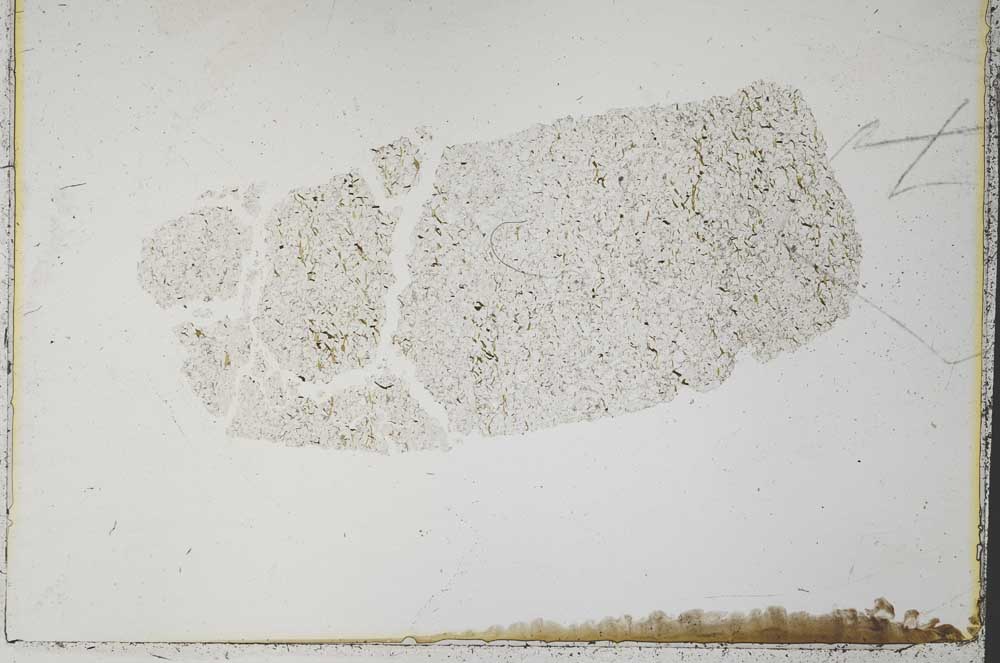 Plane Polarized, S33732