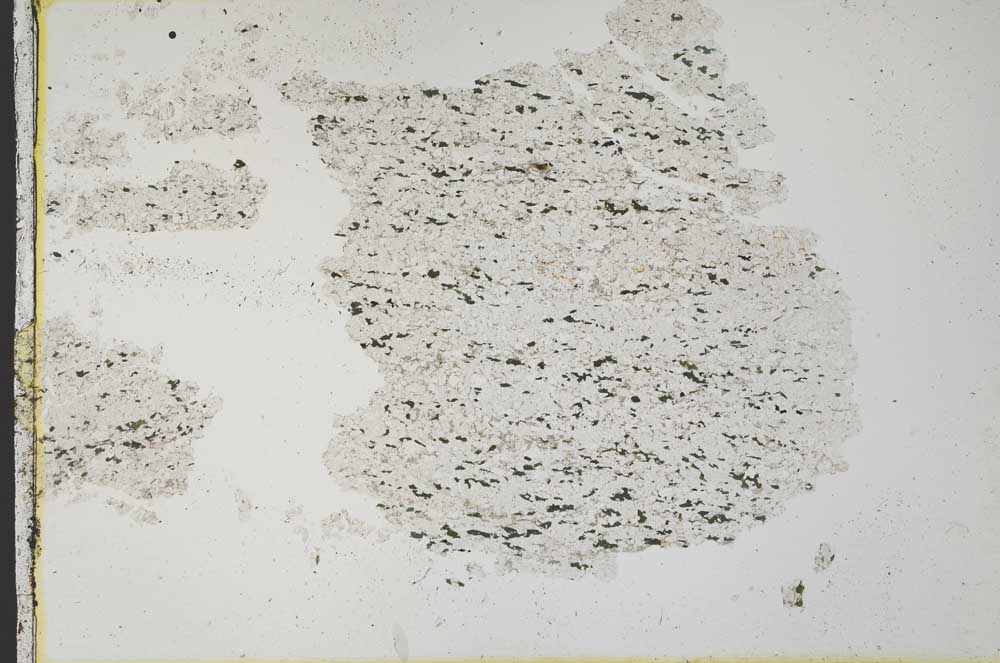 Plane Polarized, S33737