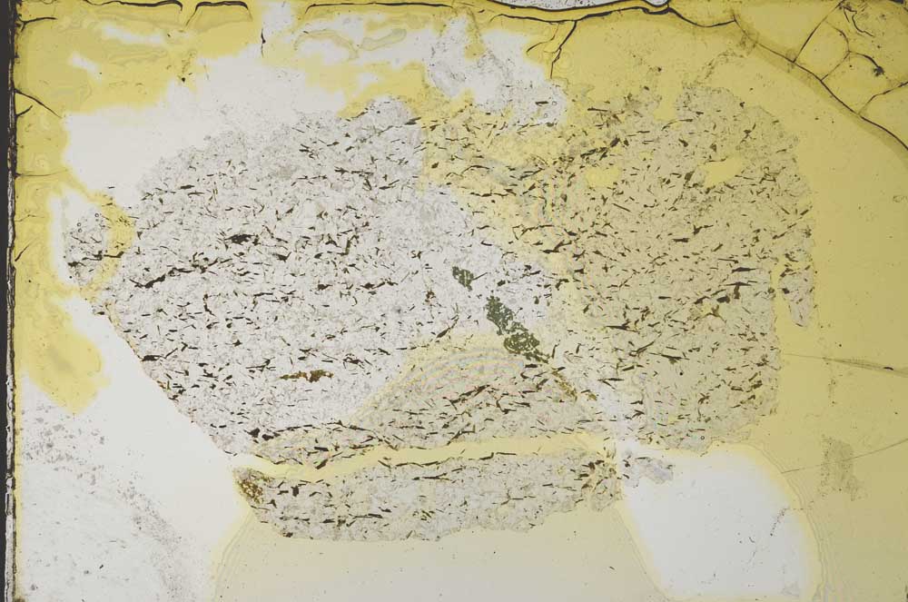 Plane Polarized, S33739