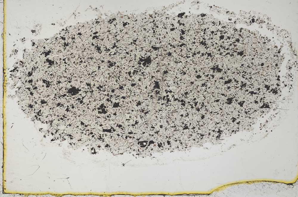 Plane Polarized, S33943