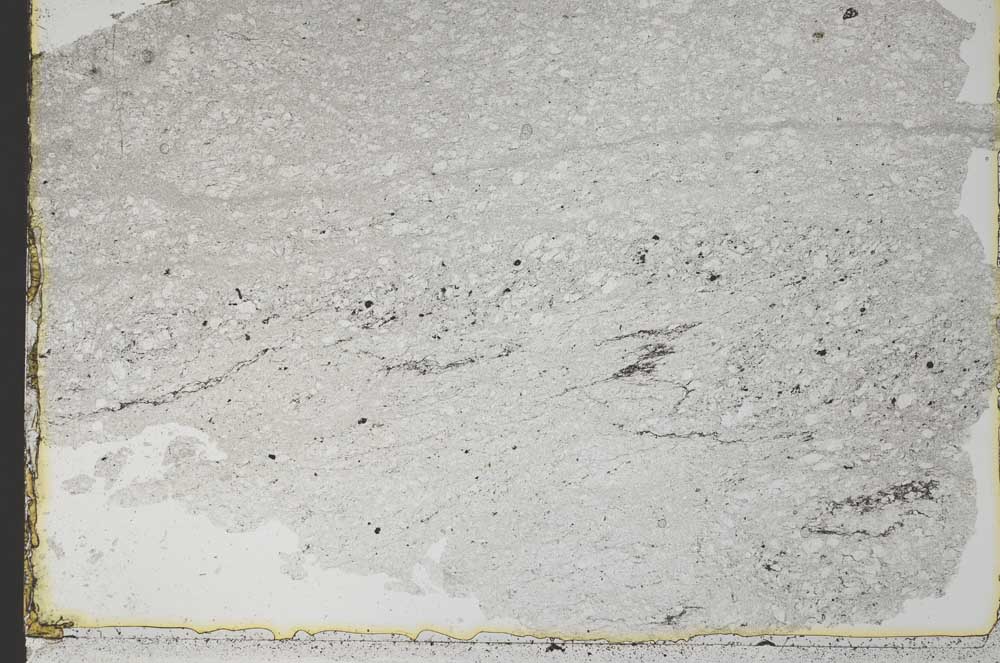 Plane Polarized, S33949
