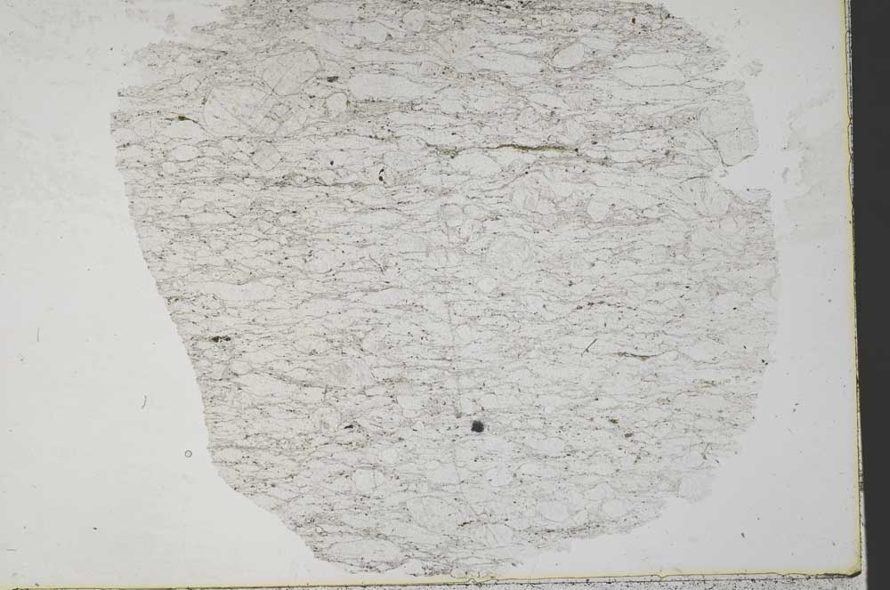 Plane Polarized, S33951