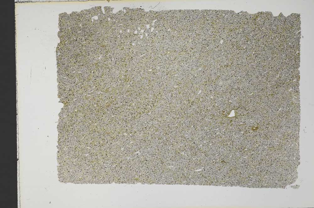 Plane Polarized, S33963
