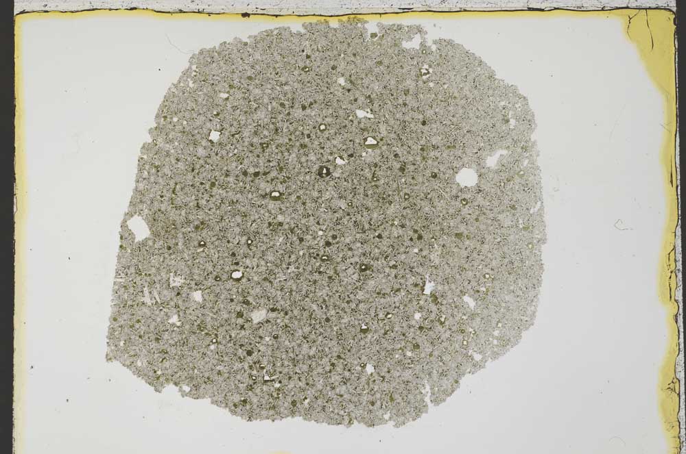 Plane Polarized, S33982