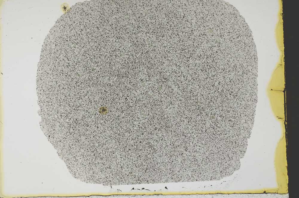 Plane Polarized, S33983