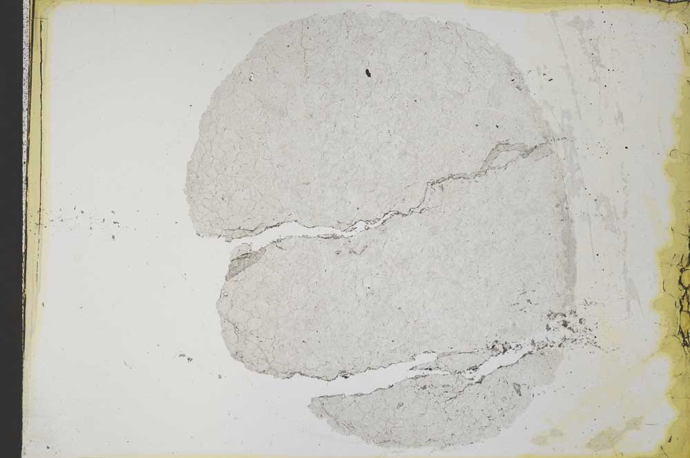 Plane Polarized, S34069