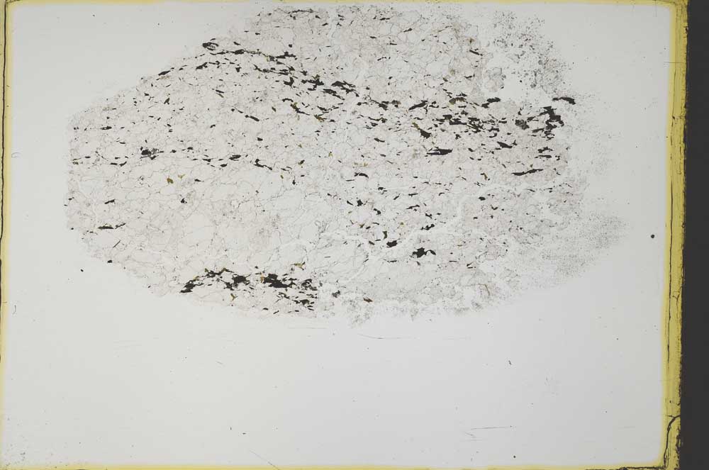 Plane Polarized, S34086