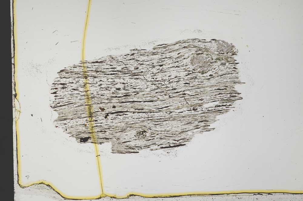Plane Polarized, S34095