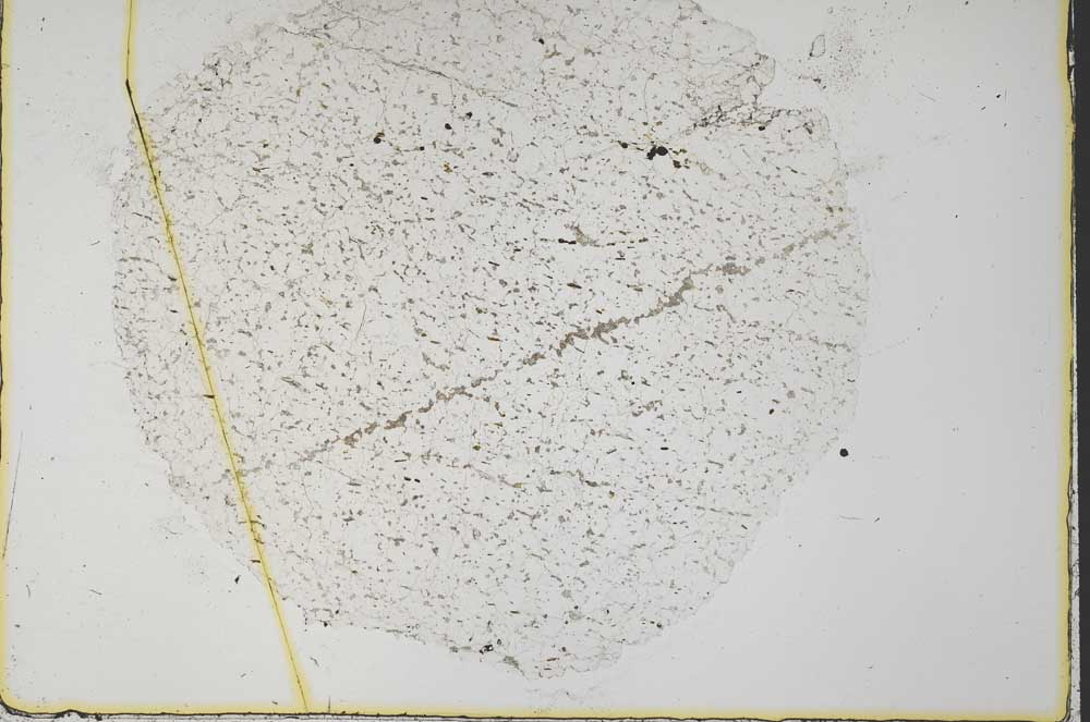 Plane Polarized, S34112
