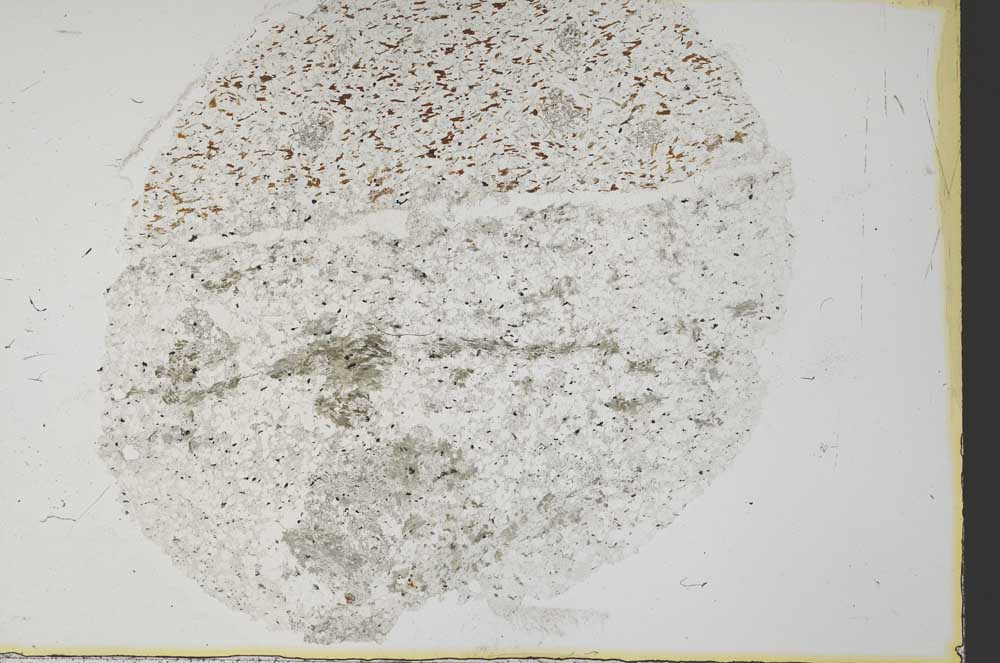 Plane Polarized, S34115