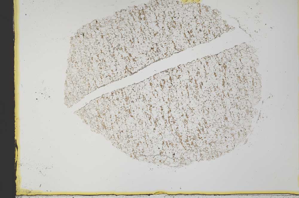 Plane Polarized, S34133