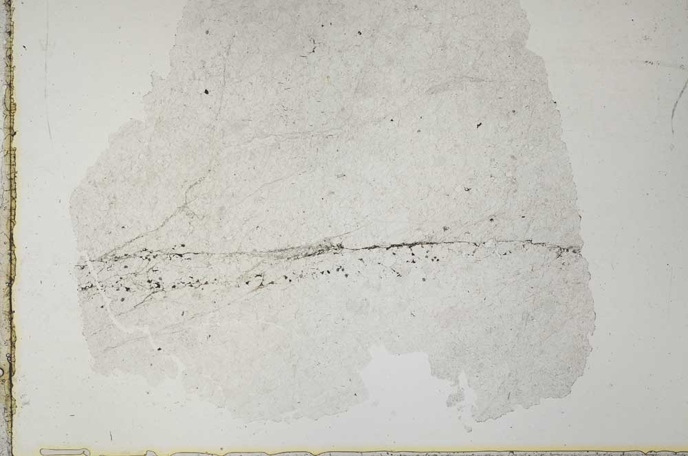 Plane Polarized, S34142