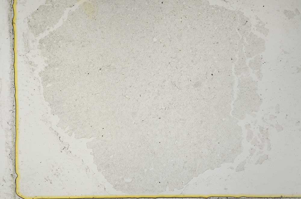 Plane Polarized, S34143