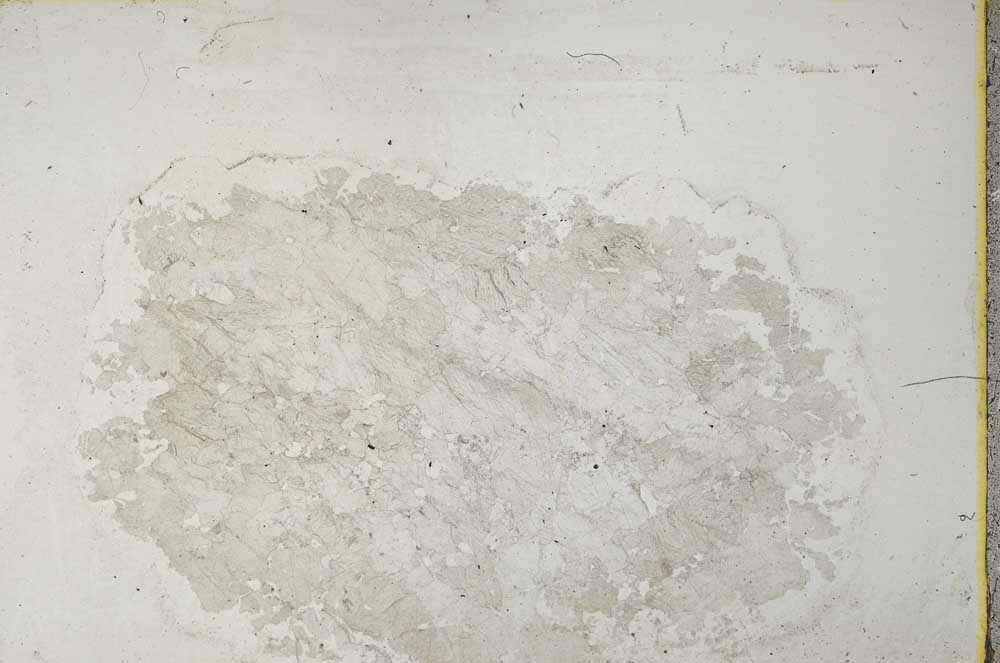 Plane Polarized, S34147