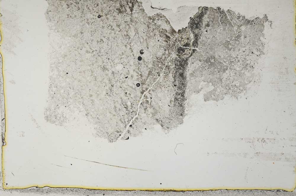 Plane Polarized, S34148