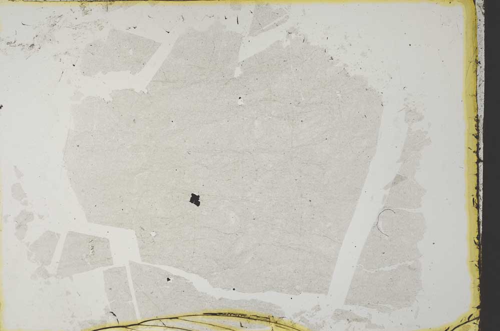 Plane Polarized, S34152