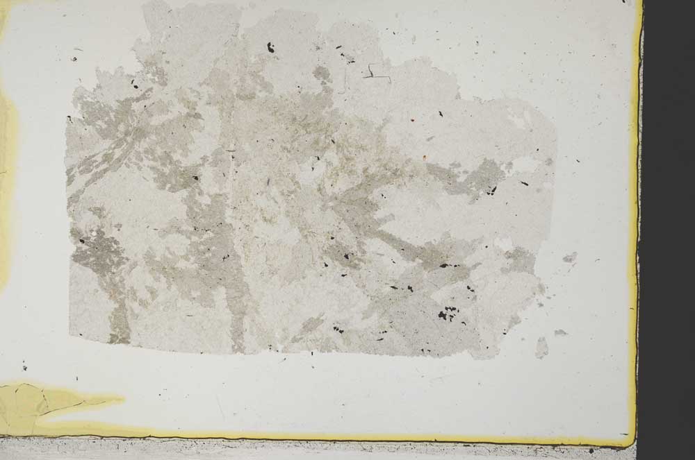 Plane Polarized, S34155