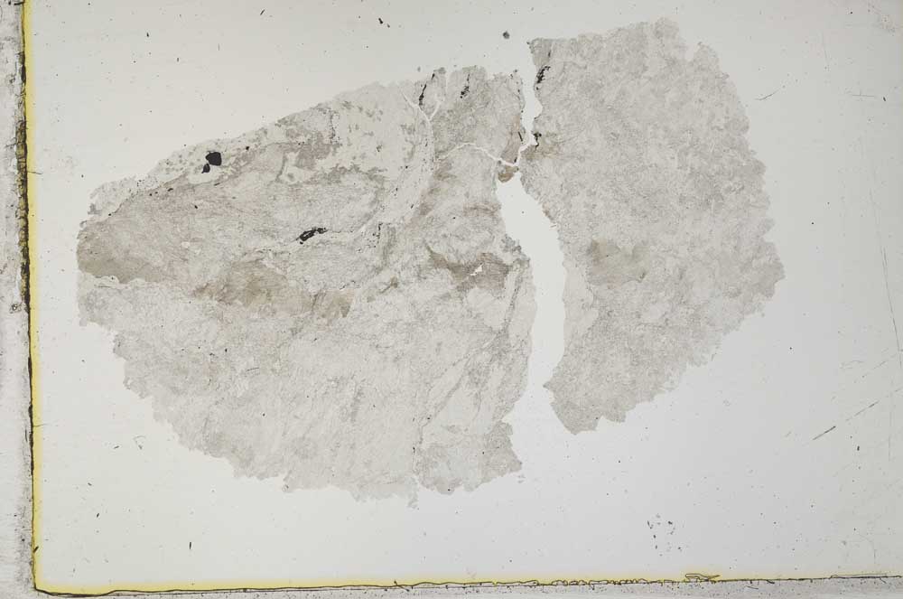 Plane Polarized, S34157