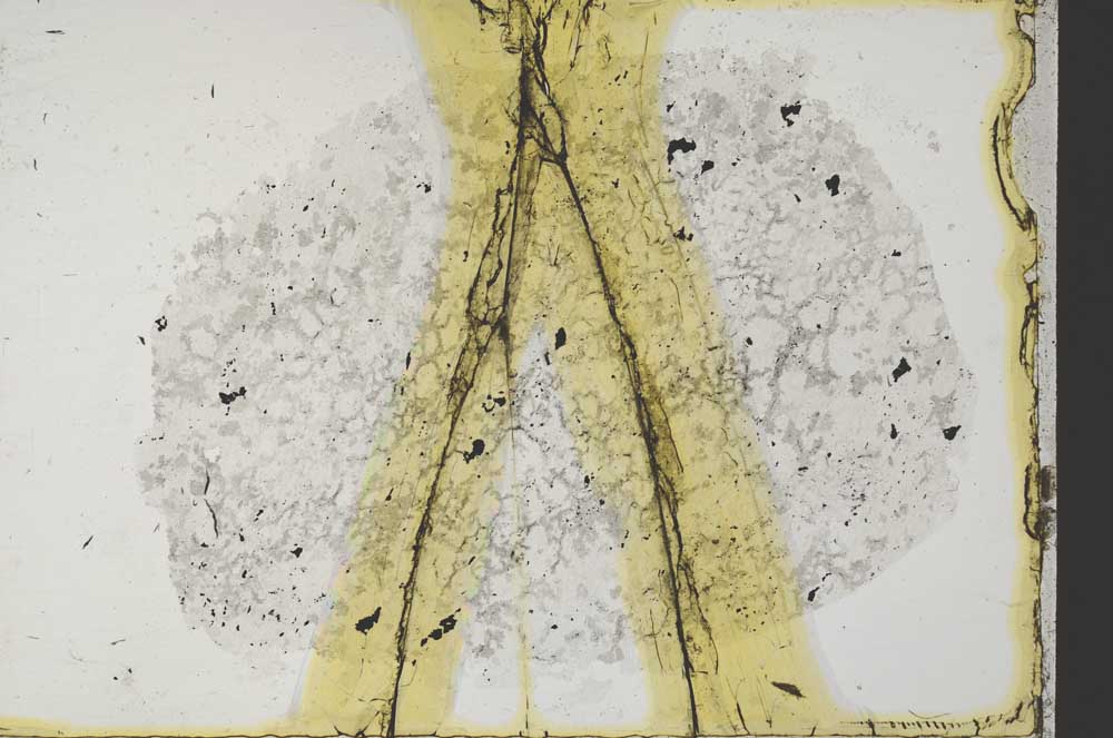Plane Polarized, S34158