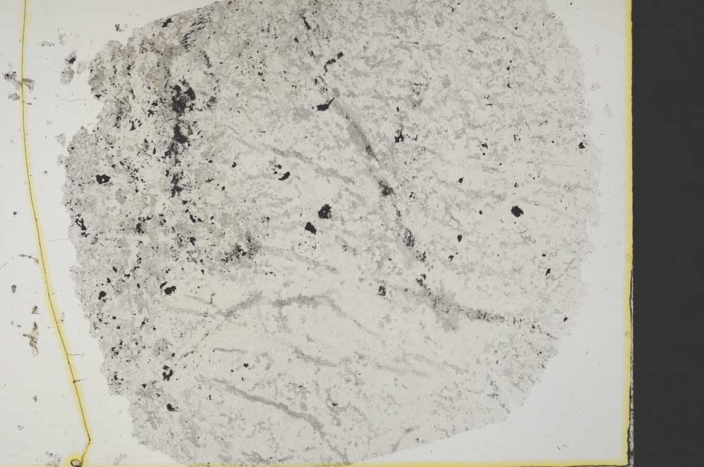 Plane Polarized, S34159
