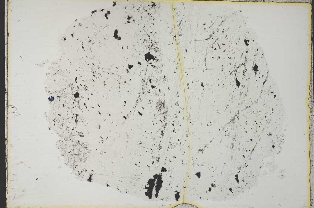 Plane Polarized, S34161