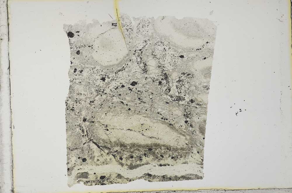 Plane Polarized, S34162