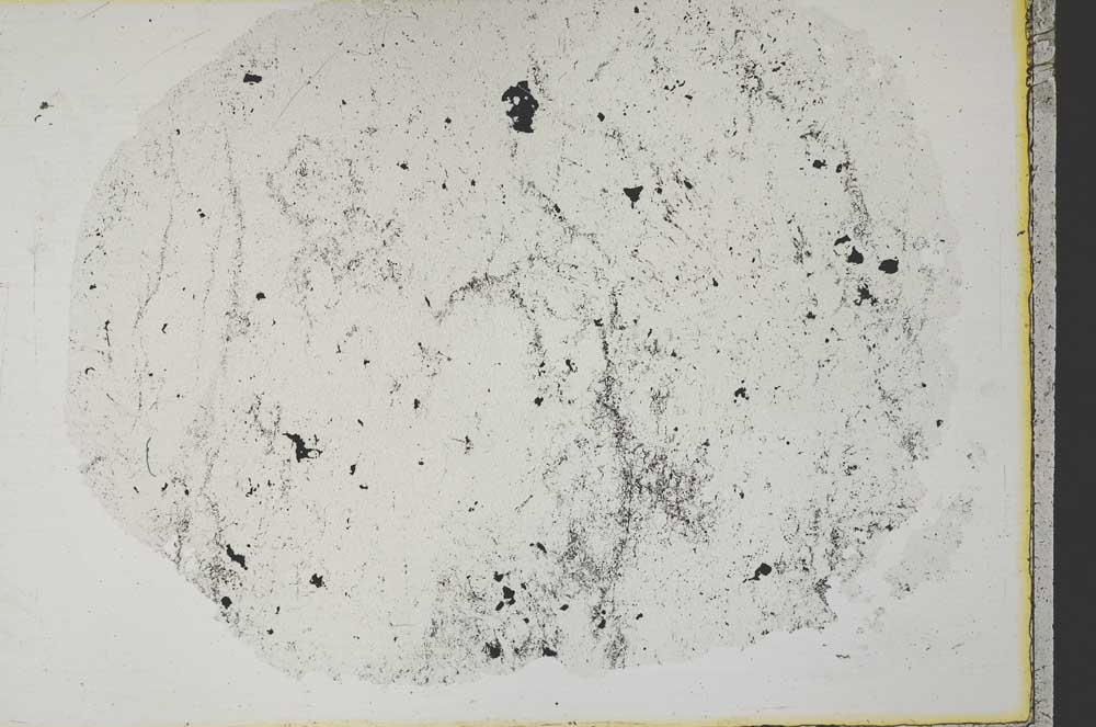 Plane Polarized, S34163