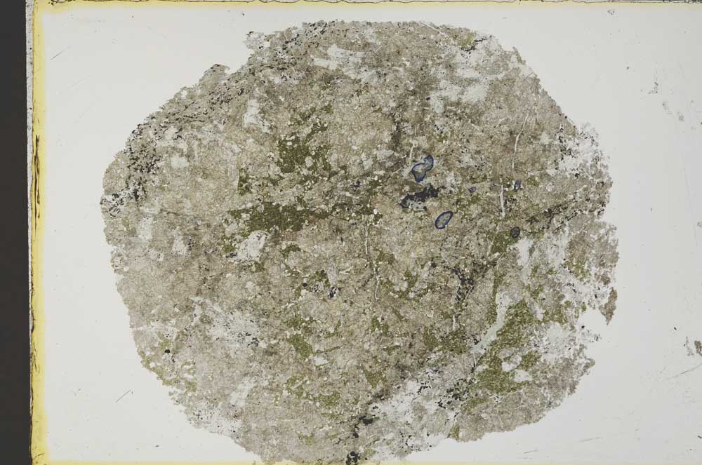 Plane Polarized, S34166