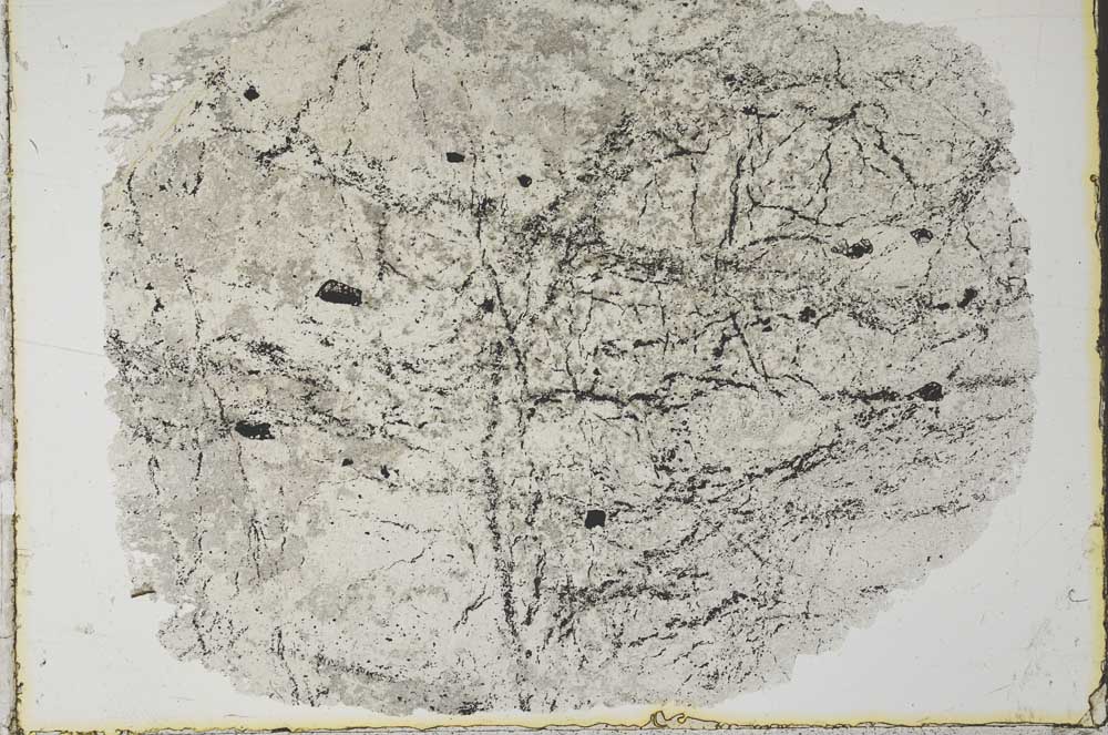 Plane Polarized, S34169