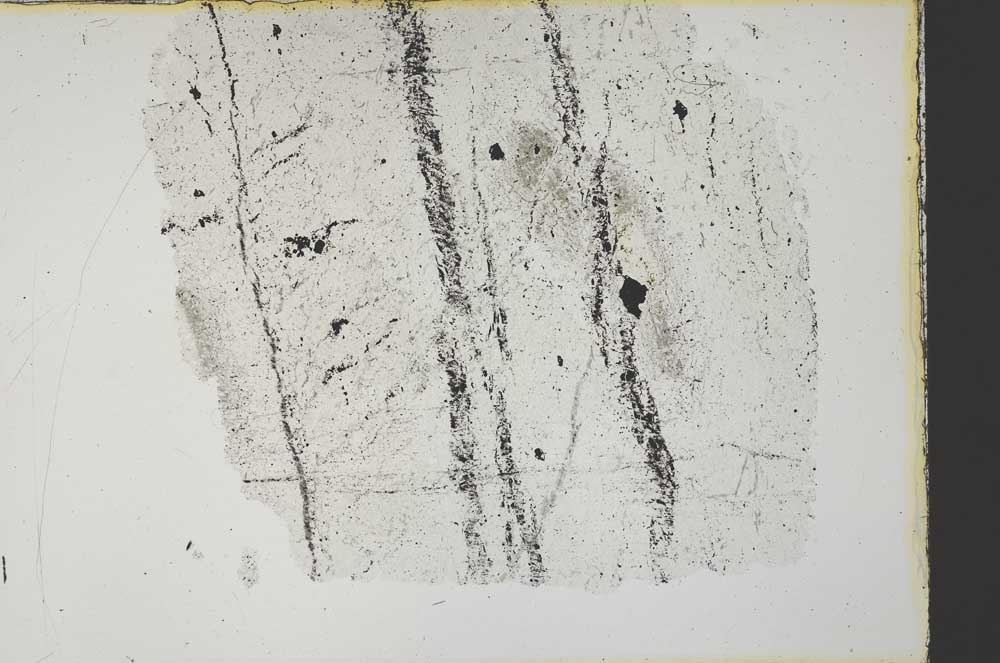 Plane Polarized, S34170