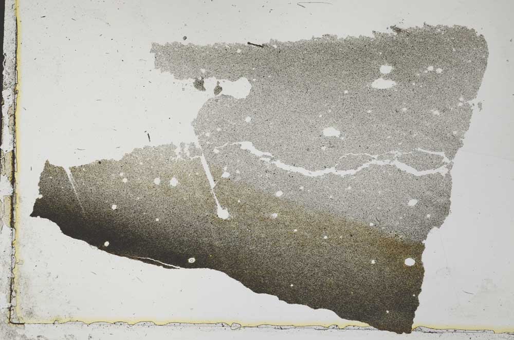 Plane Polarized, S34178