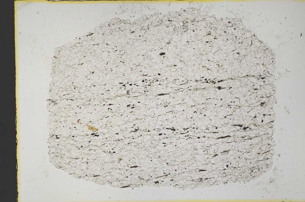 Plane Polarized, S34206