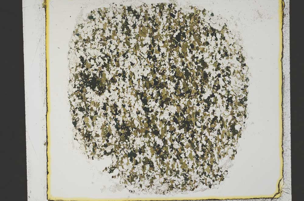 Plane Polarized, S34214