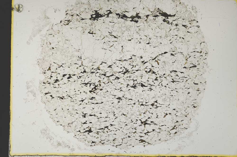 Plane Polarized, S34215