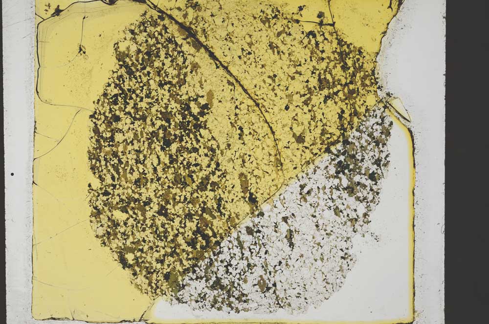 Plane Polarized, S34216